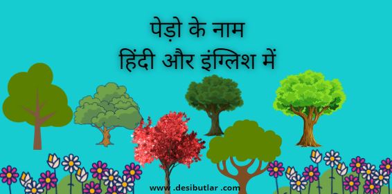 Tree name in hindi