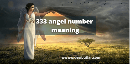 333 angel number meaning in hindi

