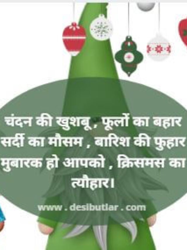 christmas festival in hindi